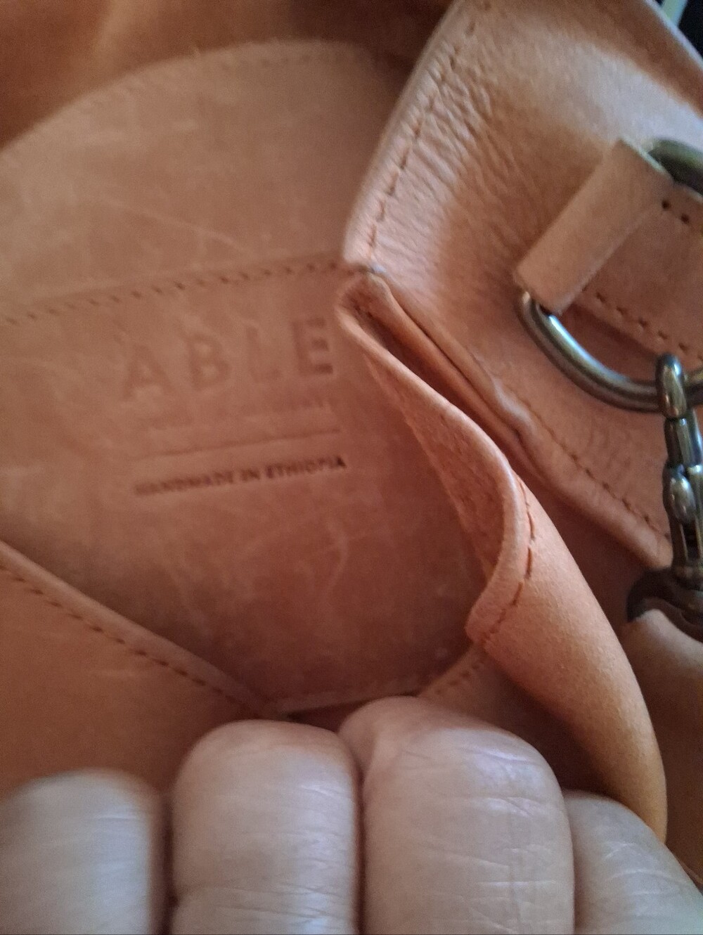 ABLE - Picture 4 of 16